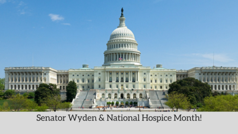 November 2016 Designated as National Hospice Month